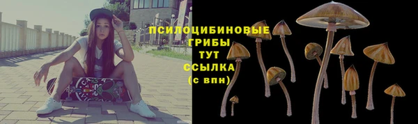 синтетический гашиш Алексеевка